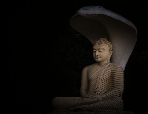 Cobra schützt Buddha