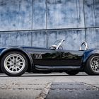 Cobra Shelby 500 PS Fototografie - mit Youtube Video