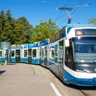 Cobra-Tram VBZ  Zürich