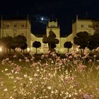 Coburg bei Nacht