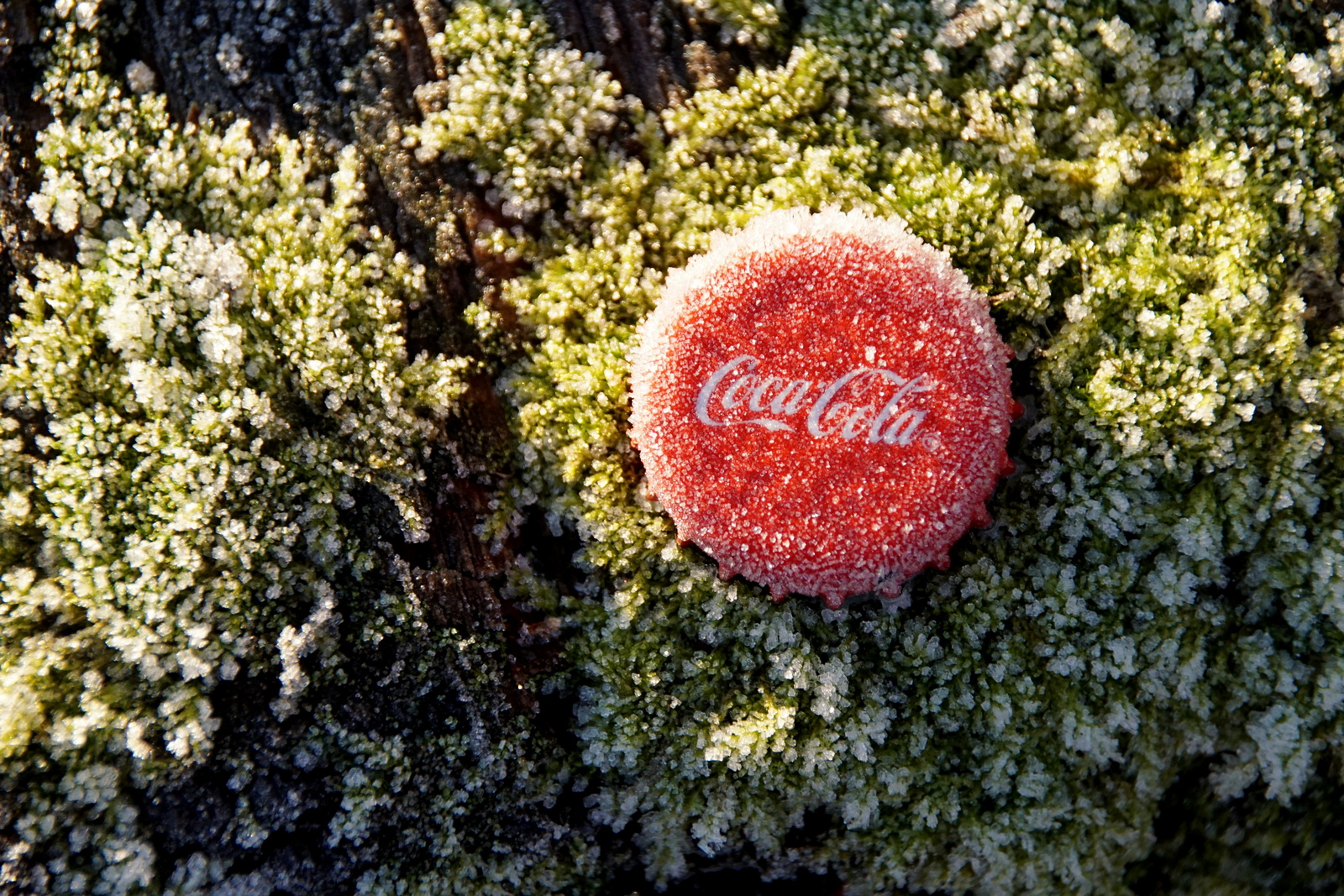 Coca Cola eisgekühlt