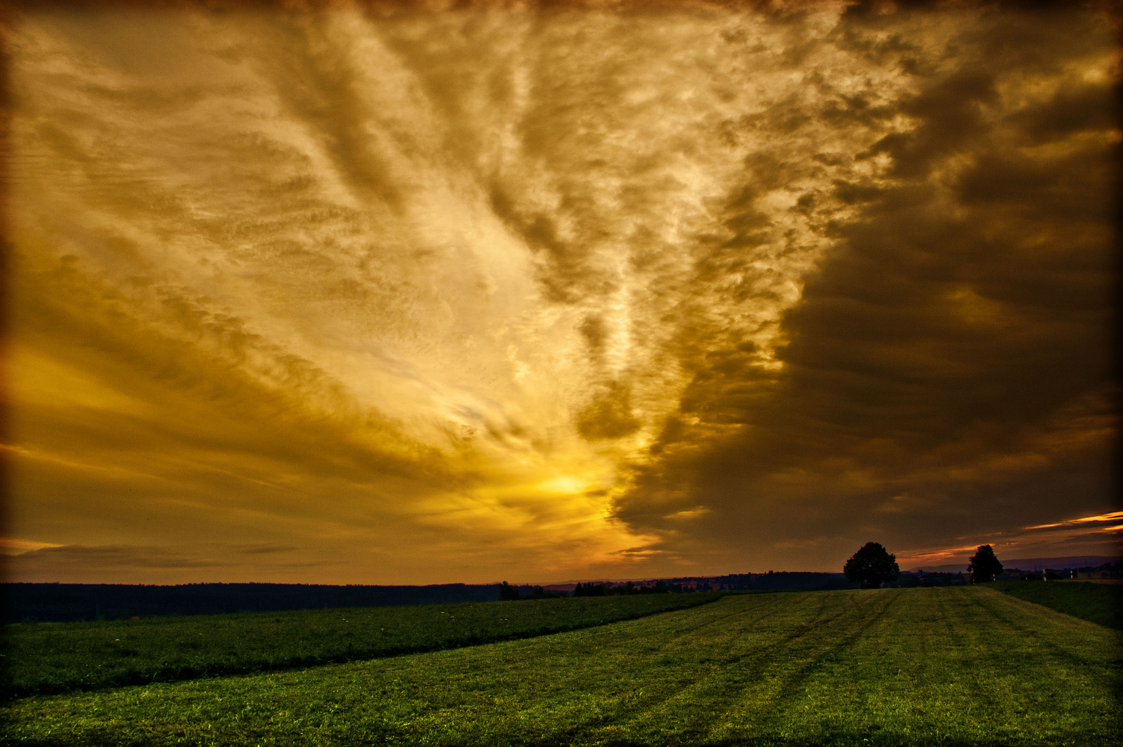 Coca Cola Sky