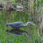 COCA-COLA, so erfrischend wie die Natur