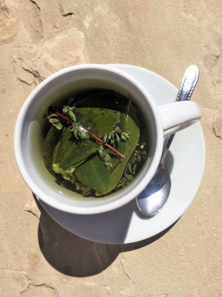 Coca tea