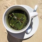 Coca tea