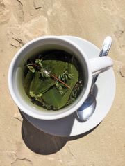 Coca tea