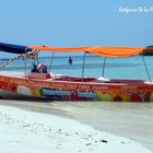 Cocadas en la bahia.. Cayo Pescadores, Parque Nacional Morrocoy, Venezuela.