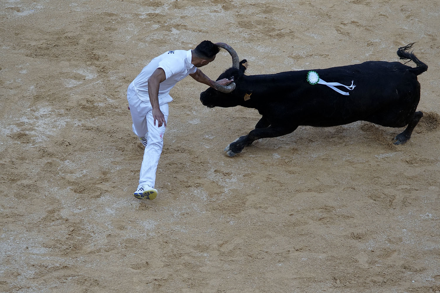 Cocarde - unblutiger Stierkampf in Nimes