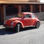 Coccinelle voiture