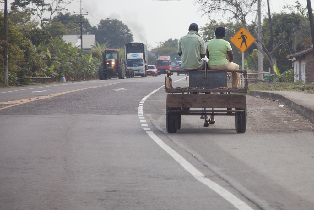 Coche de Caballos