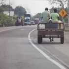 Coche de Caballos