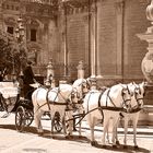 Coche de caballos en Sevilla