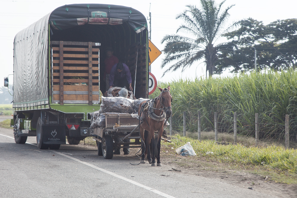 Coche de Caballos - Trasbordar