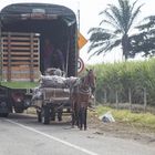 Coche de Caballos - Trasbordar