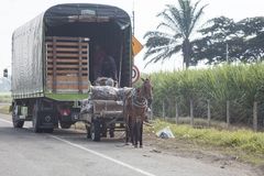 Coche de Caballos - Trasbordar