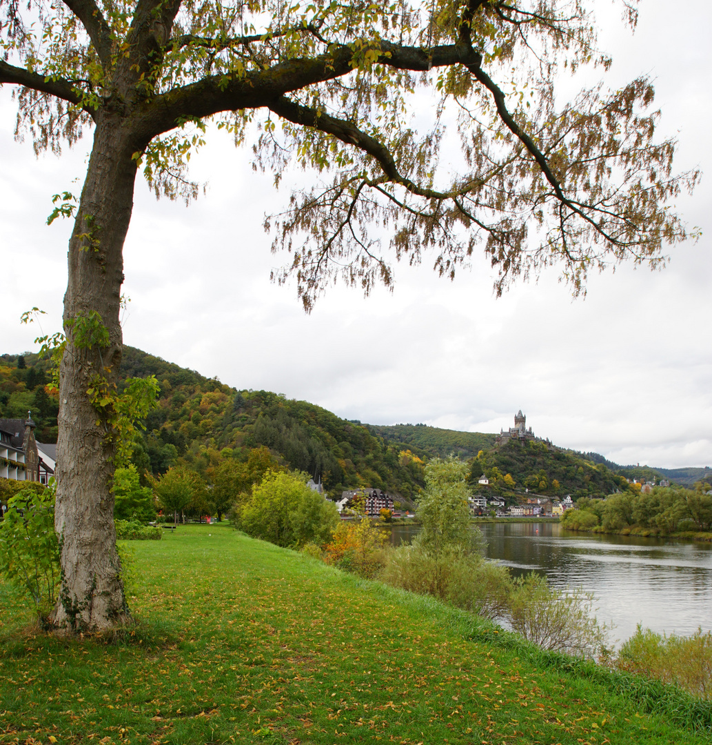 Cochem an der Mosel,...