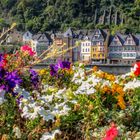 Cochem im Blumenschmuck