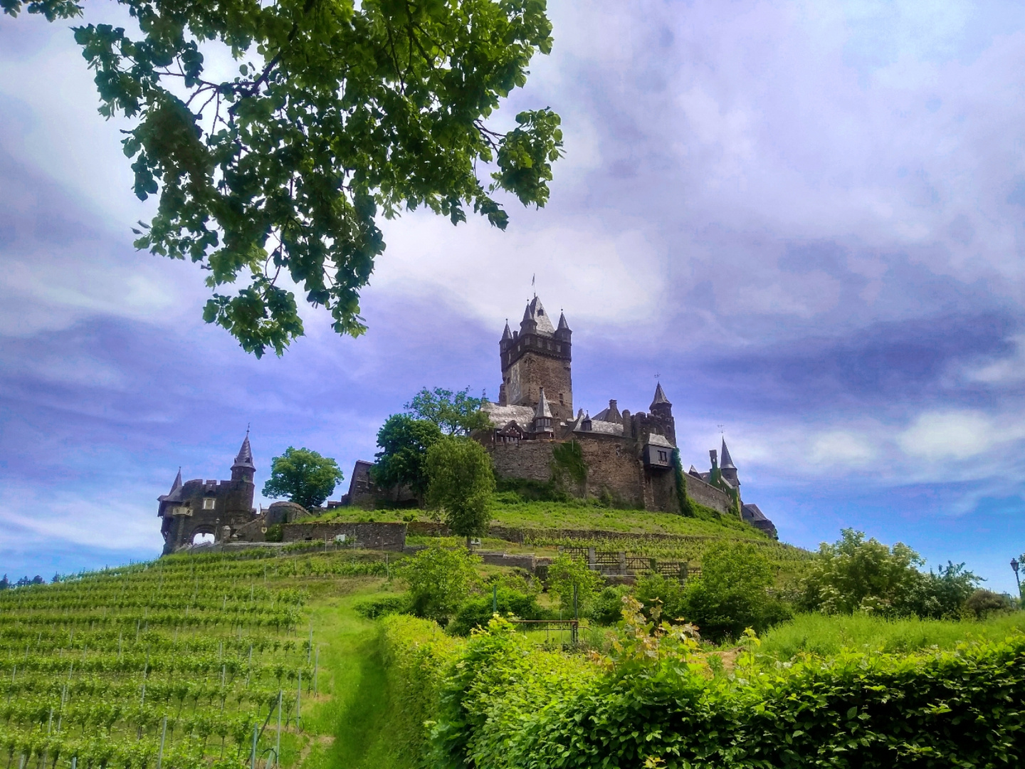 Cochem Reichsburg