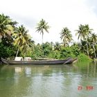 Cochin Backwater