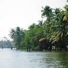 Cochin Backwater