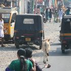 Cochin (Indien) "Street view"