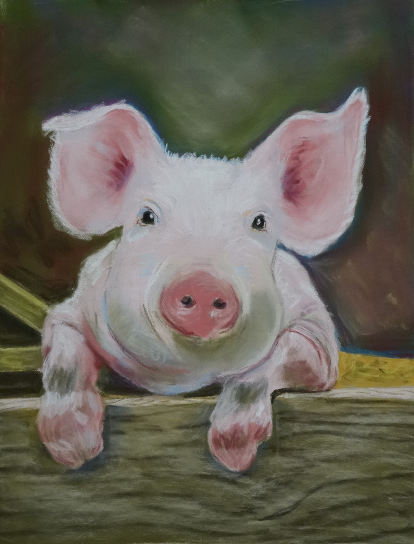 cochon au pastel