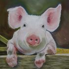 cochon au pastel