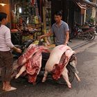 Cochons transportés sur moto au retour de l'abattoir à Hanoï au vietnam