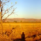 Cockburn Range