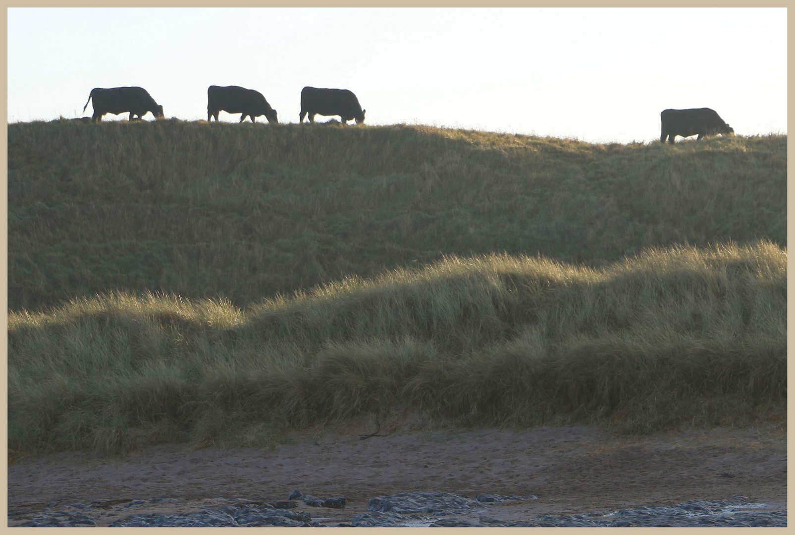 cocklawburn beach 46