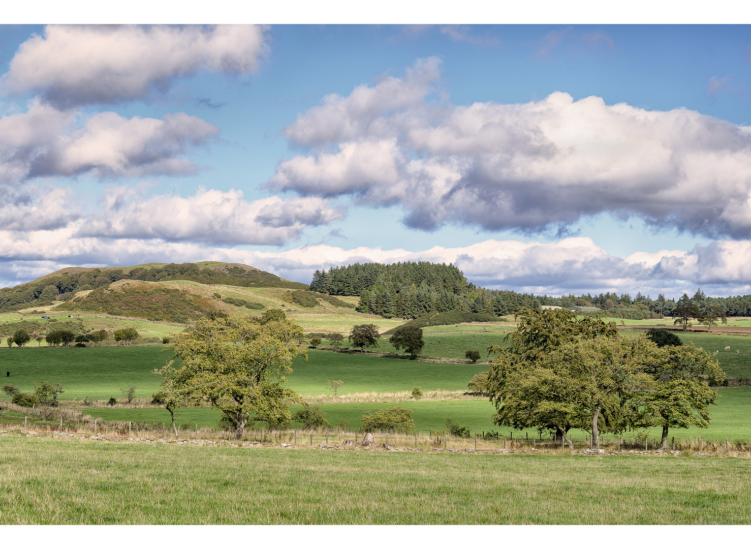 Cockleroy from the south