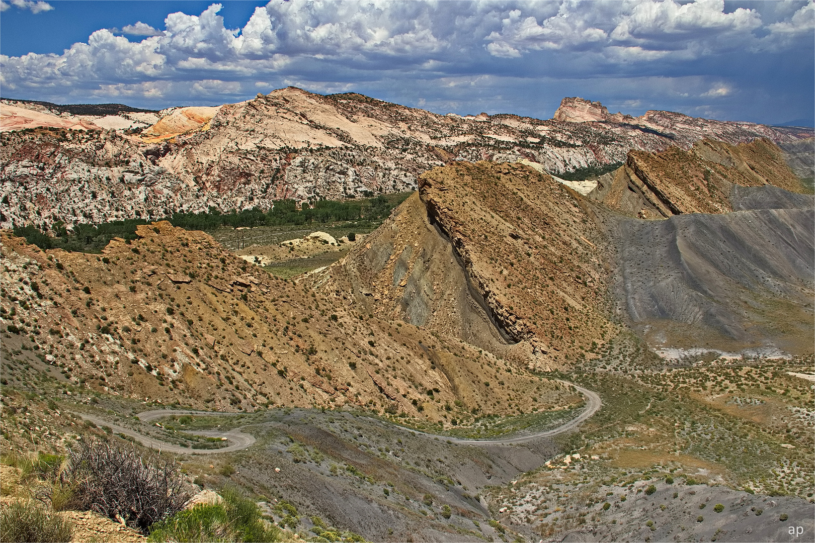 Cockscomb View