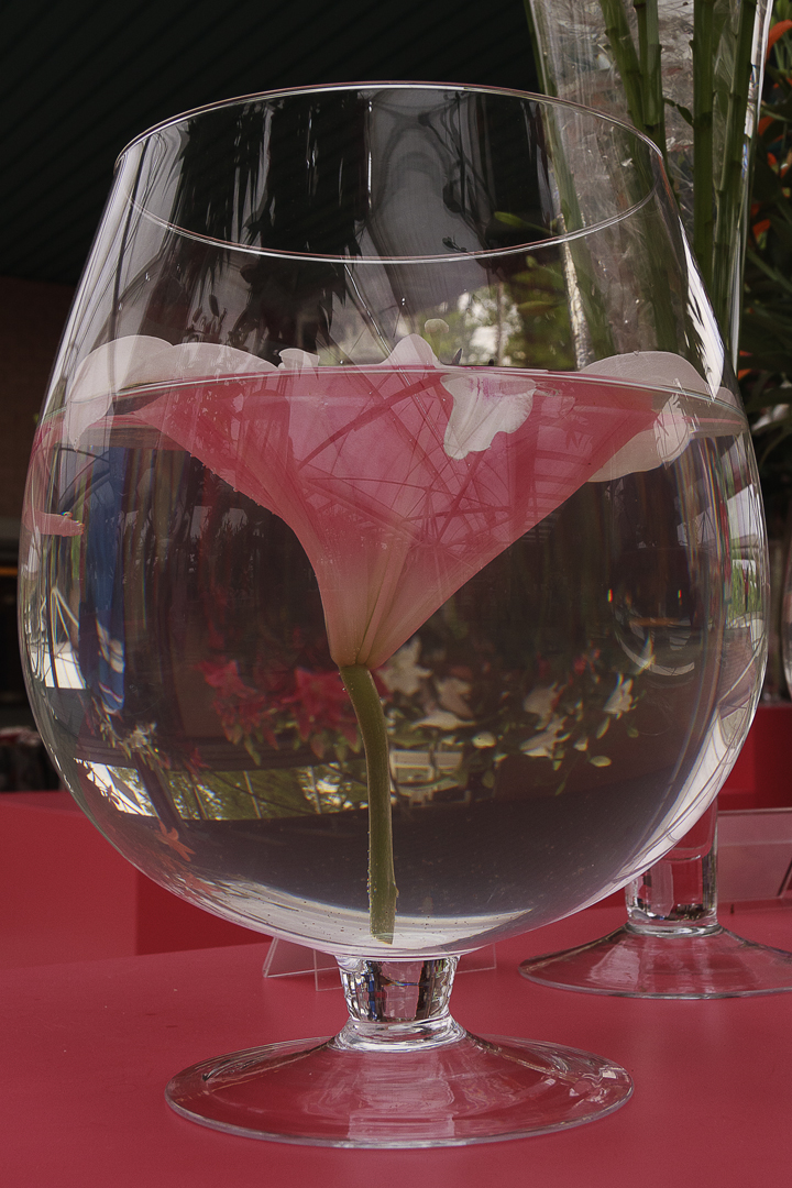 cocktail fleuri