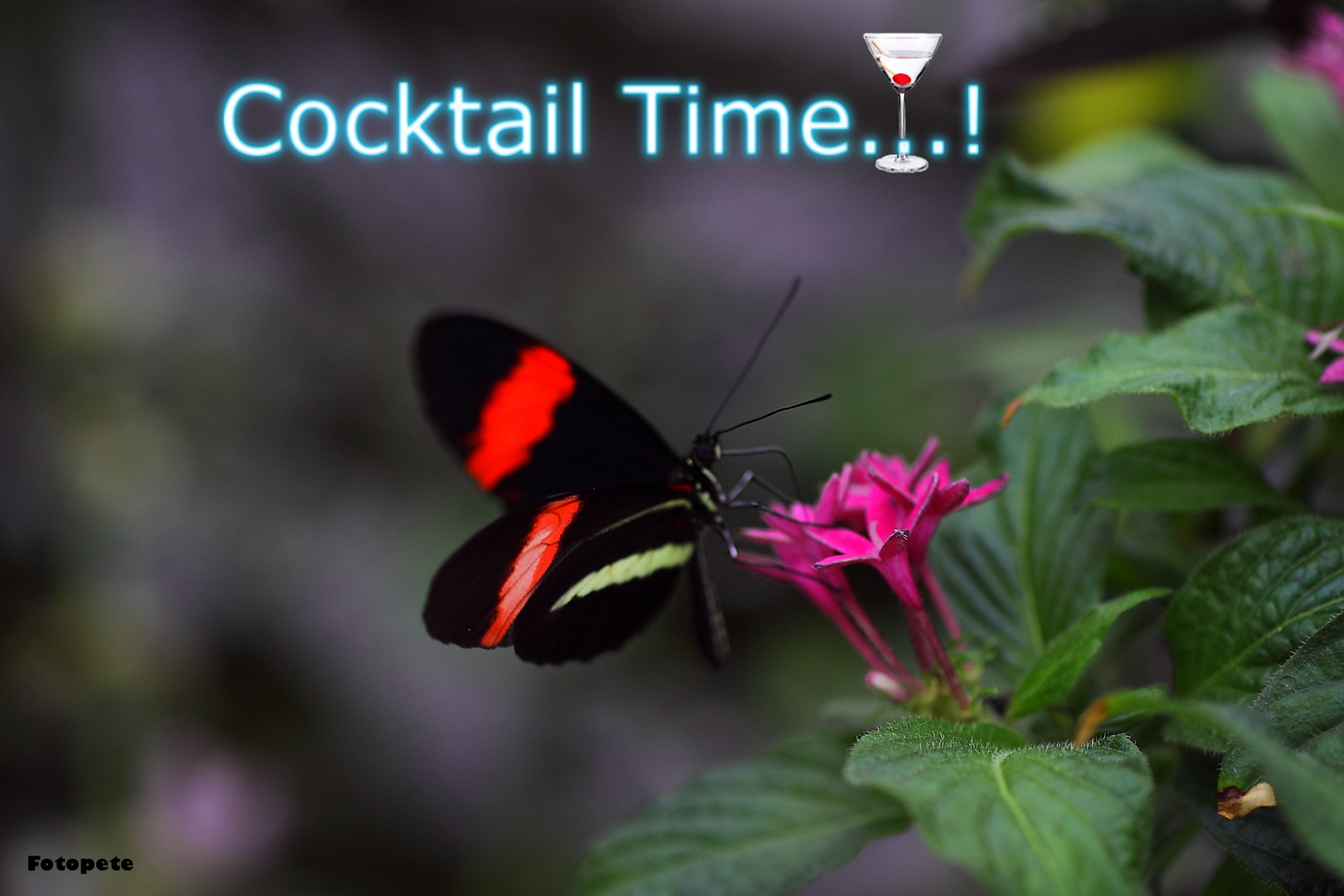 Cocktail Time...!