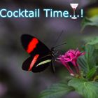 Cocktail Time...!
