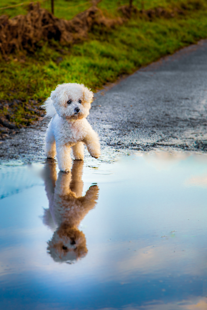 Coco am Wasser