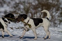 Coco und nen halber Jake