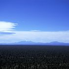 Coconino Plateau mit San Francisco Mountains