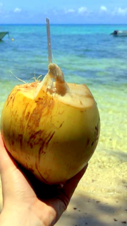 Coconut !