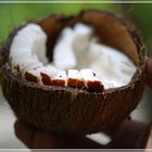 Coconut