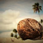 Coconut Beach 