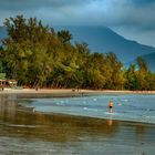 Coconut beach at Koh Chang