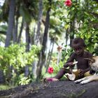 Coconut Catering