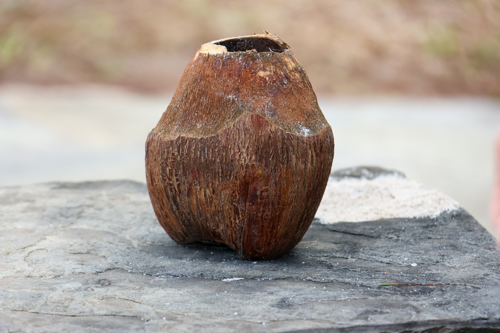 Coconut Foto & Bild world, outdoor, details Bilder auf