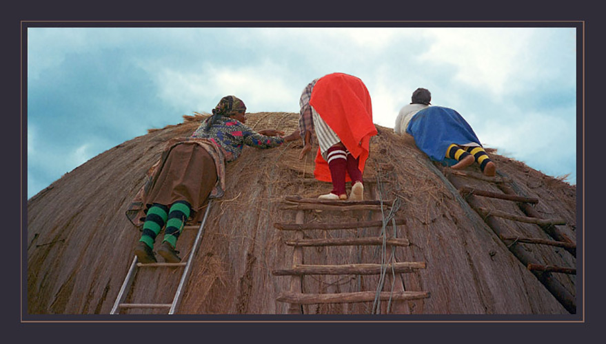 Coconut Hut