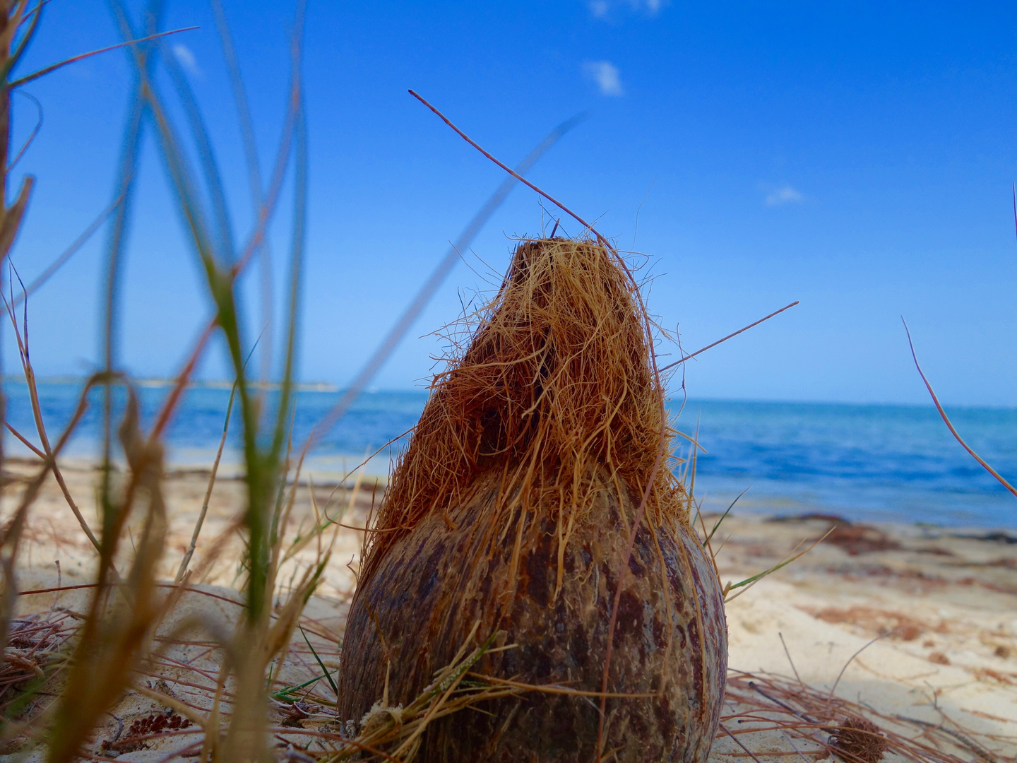 Coconut Island/Mauritius