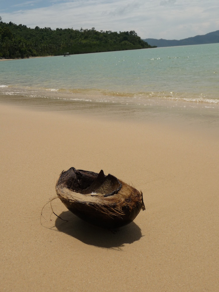 Coconut - Philippinen