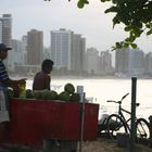 Coconut Salesmen