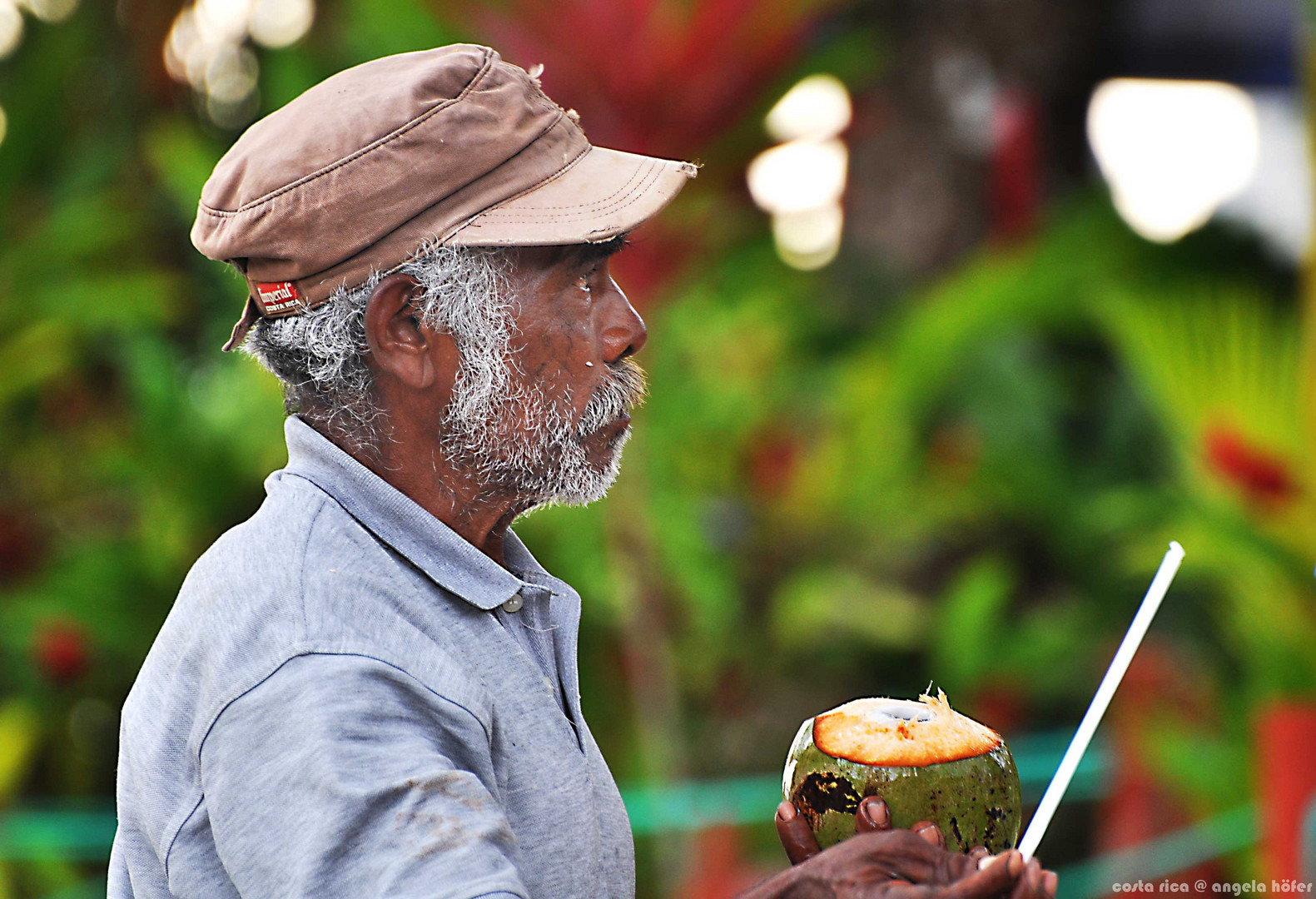 coconut seller