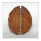 coconut with zip
